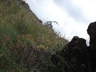Serra_Pizzuta - 20100602 115.jpg